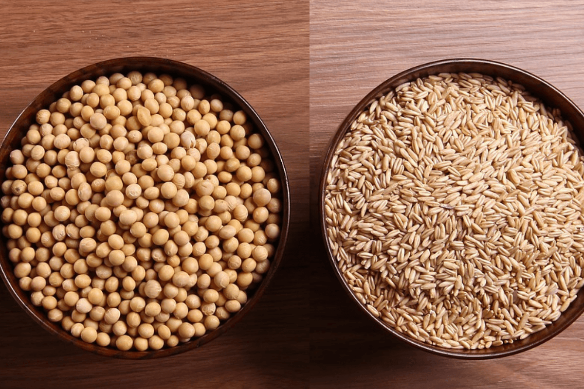 oats and quinoa in individual bowls