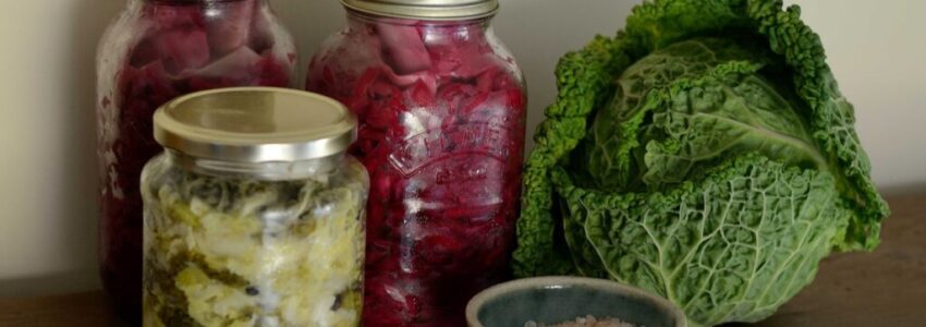 Jars of sauerkraut, an example of a fermented food.