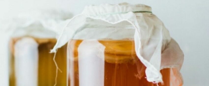 Two jars of home-brewed kombucha.