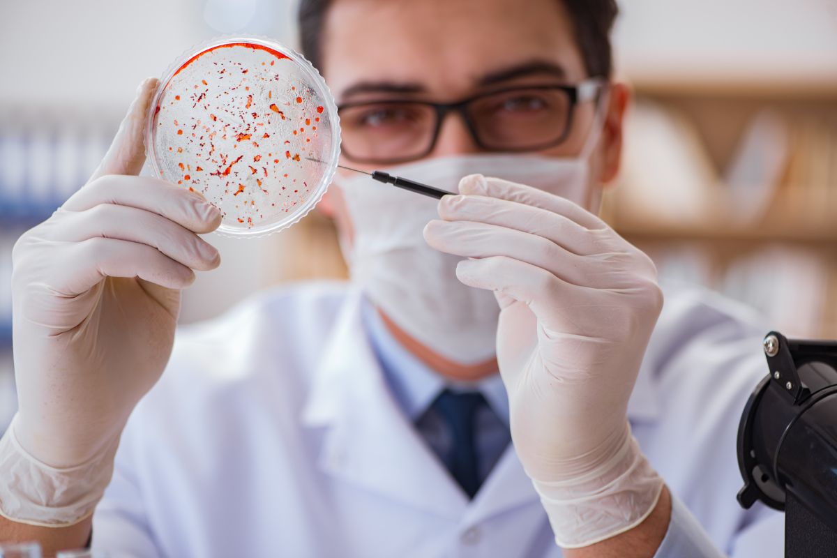 A scientist looks at a petri dish containing bad bacteria.