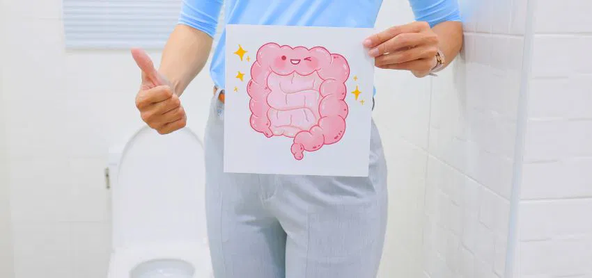 Person holding a healthy intestine illustration in a bathroom, symbolizing recovery from constipation after antibiotics.