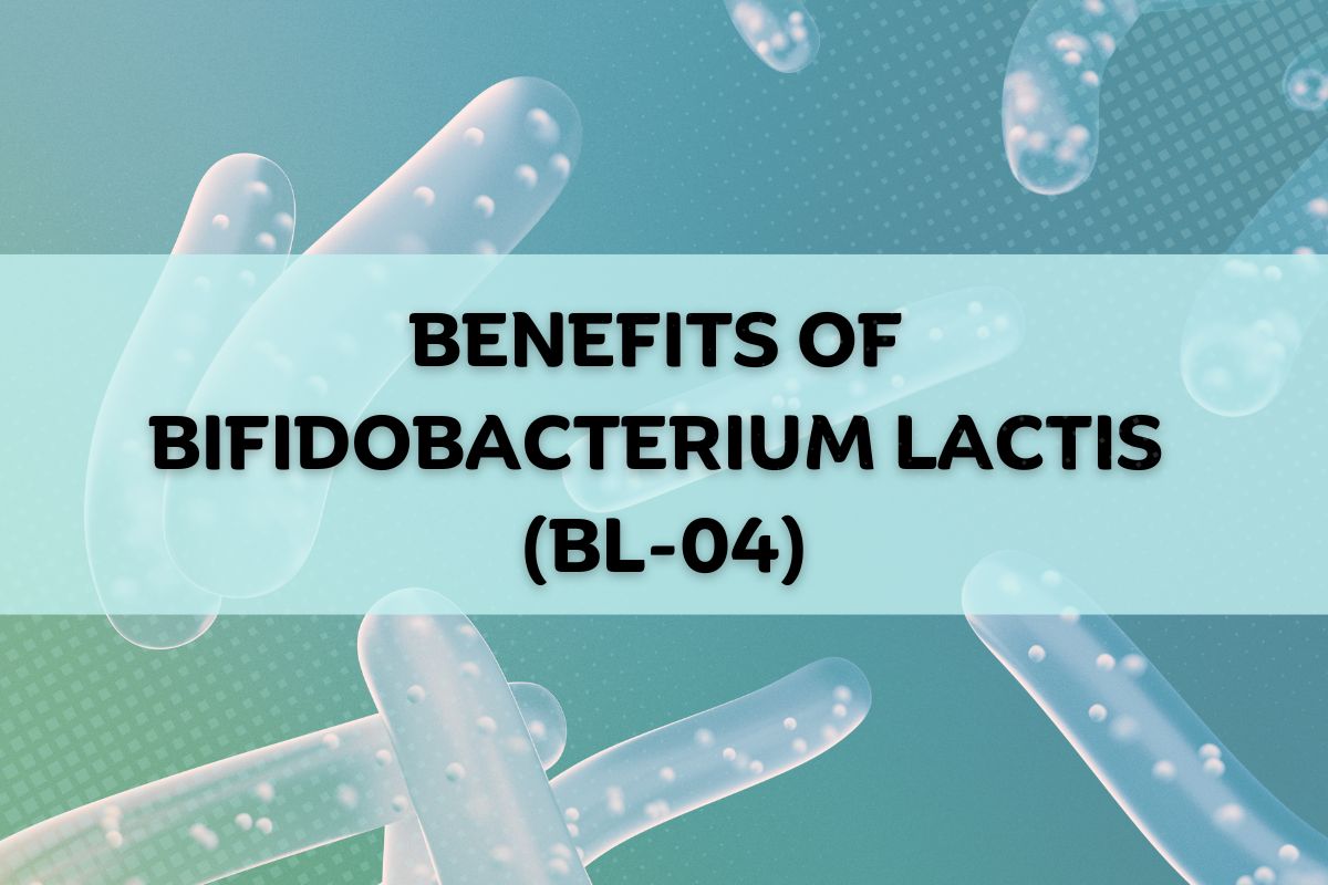 Bifidobacterium lactis Bl-04 is a bacterial strain. It's commonly found in the intestines of healthy people. This rod-shaped, anaerobic bacterium has been the focus of many studies in recent years.