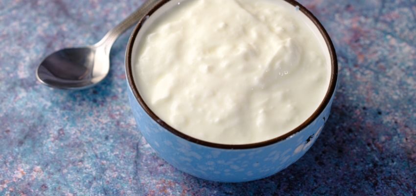 People trying to lose weight have used yogurt for a long time. It has high quantities of protein and fats, and yogurt is also known for its probiotic content.