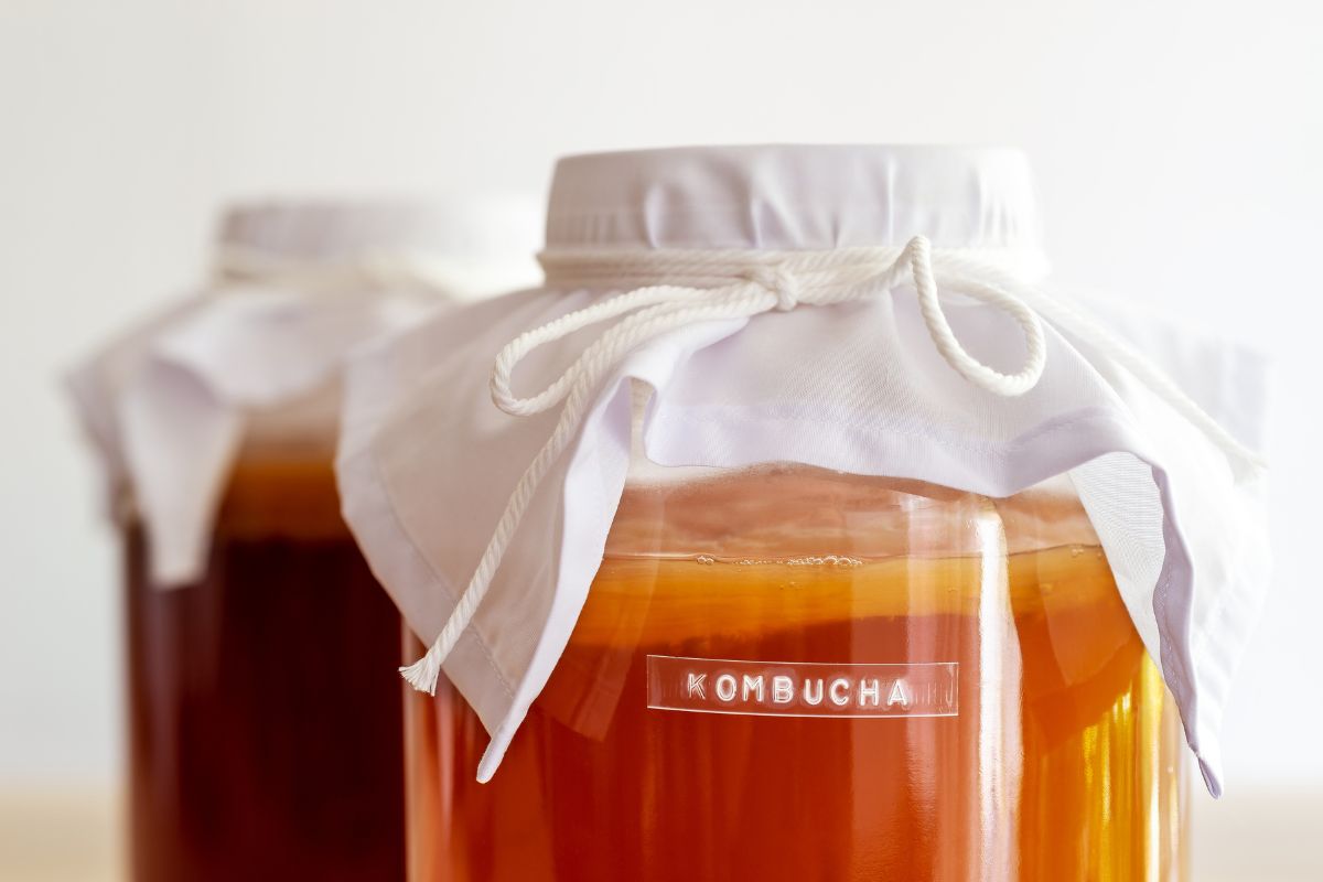 Kombucha is a delicately effervescent beverage known for its unique flavor and potential health perks.