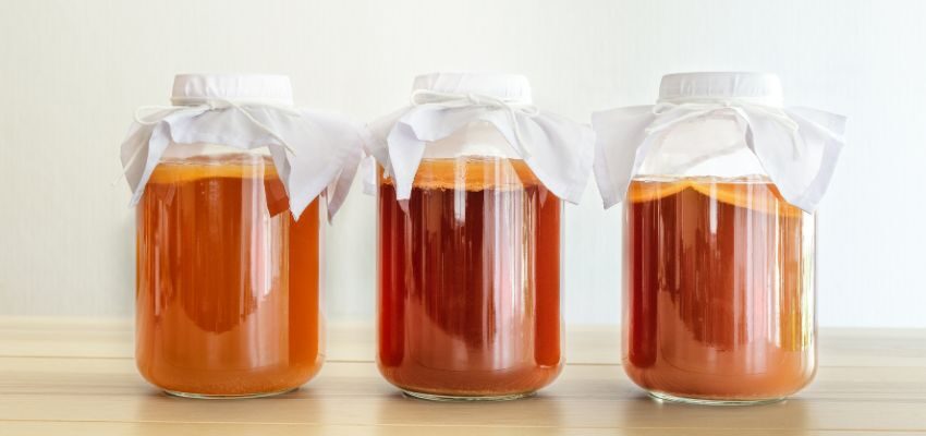 Ideally, store Kombucha in glass. As an inert material, glass prevents chemical leaching and preserves the beverage's purity and flavor.