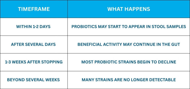 How Long Do Probiotics Stay In Your System? Key Insights