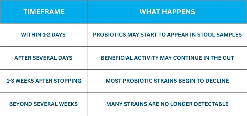 A chart showing the timeframe for how long probiotics stay in your system.