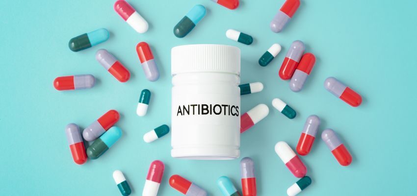 Antibiotics can kill beneficial bacteria in your gut, allowing Candida to flourish unchecked. This disruption of the natural balance of microorganisms can create conducive conditions for Candida to thrive.