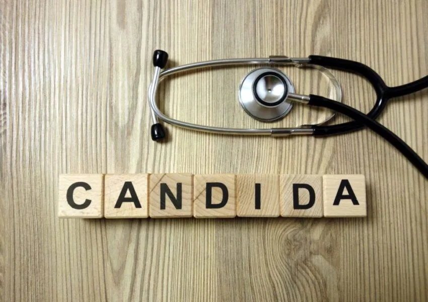 Candida albicans is a natural resident in our bodies.