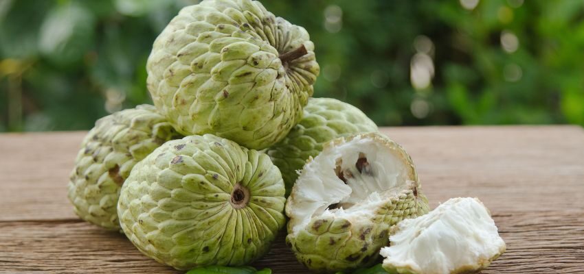 Custard apples are loaded with antioxidants and beneficial for heart and brain health. Their natural fiber supports good gut bacteria, making them a great addition to a probiotic-rich diet.