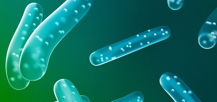 Image showcasing Probiotics For The Immune System: Your Key To Staying Healthy