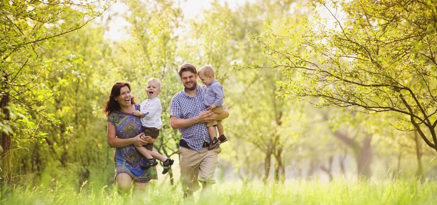 probiotics and seasonal allergies (2) The family's immune system is strong because of taking probiotics.