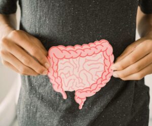 Person holding a paper model of the human intestines highlighting the effects of worst foods for gut health